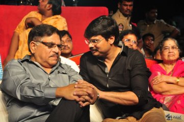 Sarrainodu Movie Blockbuster Function